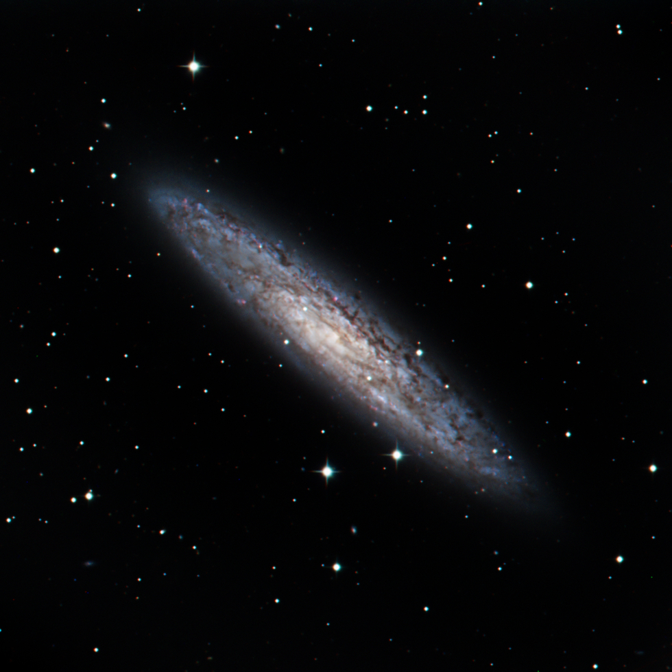 Sculptor Galaxy Telescope Live